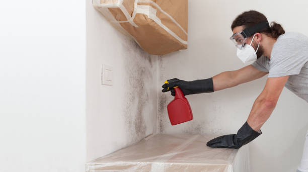 Professional Mold Testing technician working in Micro, NC