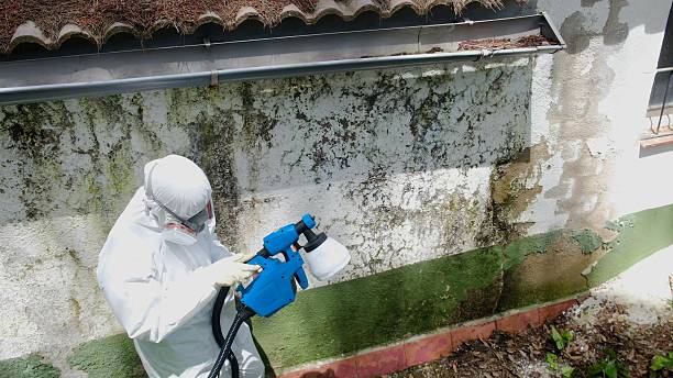 Trusted Mold Testing service in Micro, NC - Cheap Mold Removal